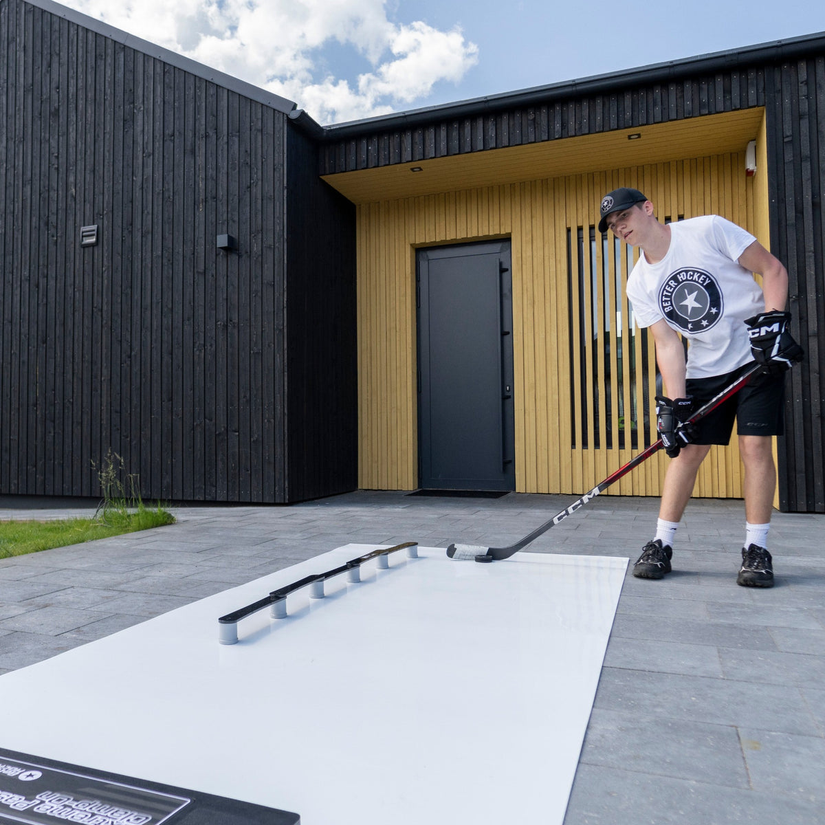 Shoot, pass and stickhandle without leaving the driveway